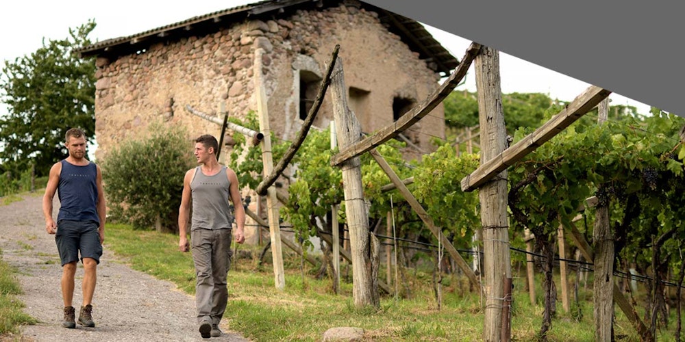 Cantina Toniolli