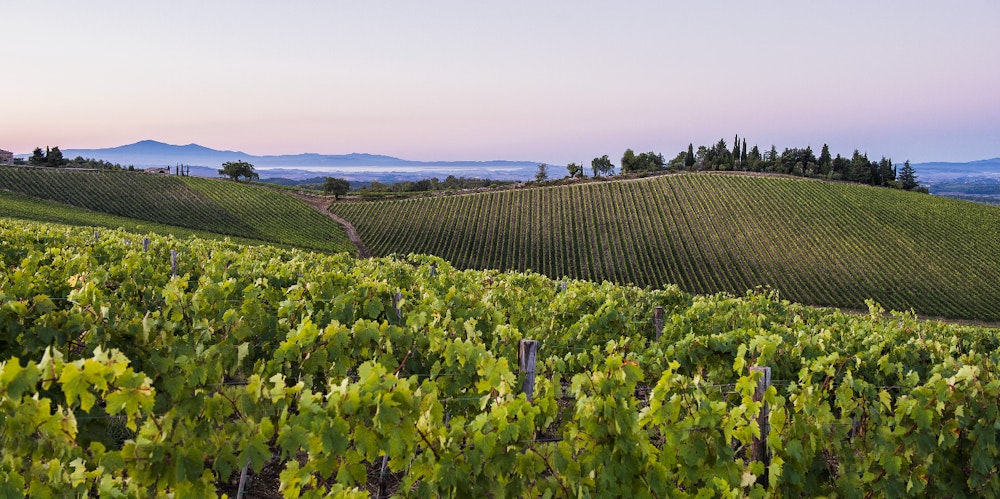 Barone Ricasoli Spa Società Agricola